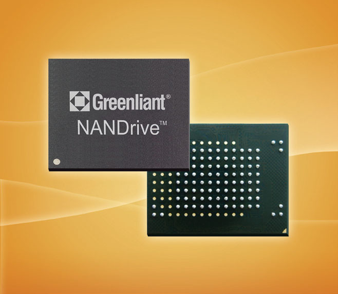   Greenliant NANDrive GLS85VM  128        11,5 x 13 